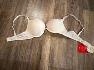 Penti Push-Up-BH 80B - Moosinning