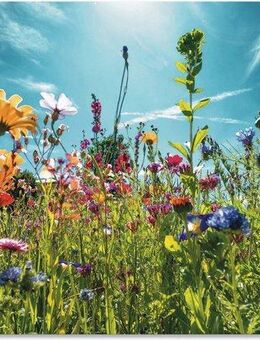 Artland Wandbild Buntes Blumenfeld, Blumenwiese (1 St), als Alubild, Outdoorbild, Leinwandbild, Poster, Wandaufkleber