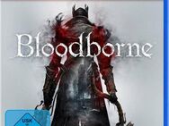 Bloodborne PlayStation 4, Software Pyramide