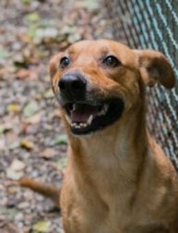 ELIO - bin voll familientauglich - Overath