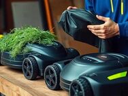 Mähroboter Reinigung Frühlingsangebot - Berlin Marzahn-Hellersdorf