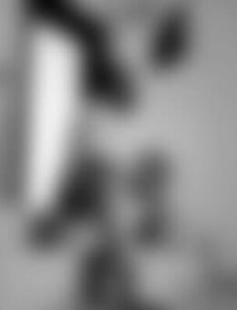 Len*** - Porta Westfalica