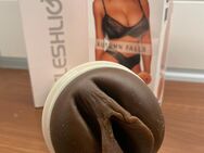 FLESHLIGHT Autumn Falls - Sontheim (Brenz)