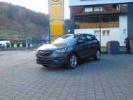 Opel Grandland X Edition 1.2 - Krickenbach