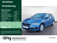 Skoda Scala, 1.0 TSI COOL PLUS Scala Cool Plus, Jahr 2021 - Reutlingen