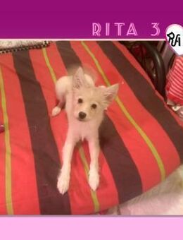 🩷 RITA 🩷 - KANN ICH DICH VERZÜCKEN? - Alfeld (Leine)