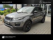 Land Rover Range Rover Evoque, SE D, Jahr 2018 - Annaberg-Buchholz
