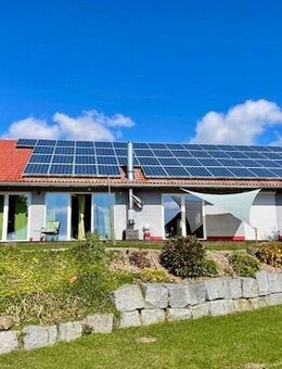 Sonnige Alleinlage, exklusiver Bungalow mit Bauernhausaltbestand als MFH mit über 9 ha Grund - Windorf