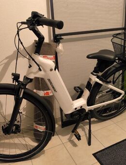 E-Bike Bergamont E Horizon N8 CB Wa RH44 500 Wh Akku, Bosch Act. - Kipfenberg