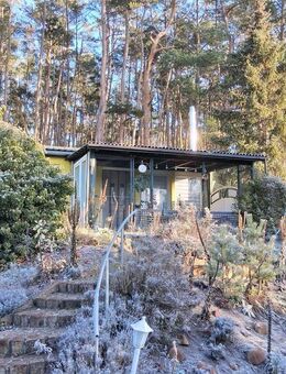 Winterangebot - Brandenburg (Havel)