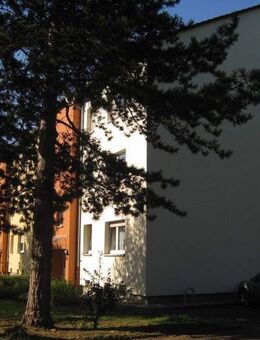 Bezugsfertige 3-Zimmer-Wohnung - Brühl (Nordrhein-Westfalen)