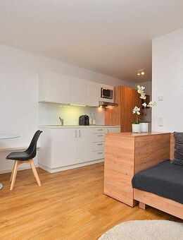 Modern möbliertes 1-Zimmer Apartment in Schweinfurt/Euerbach mit Wlan+Terrasse - Euerbach