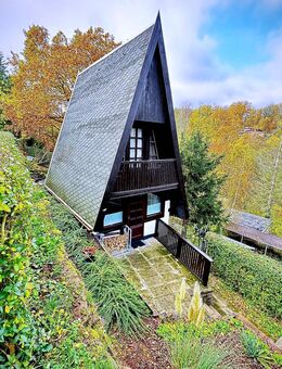 top renoviertes Ferienhaus mit Bungalow, Sauna und Finnhütte im Südharz zu verkaufen - Mansfeld