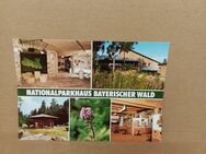Postkarte C-118-Nationalparkhaus Bayerischer Wald-MB. - Nörvenich