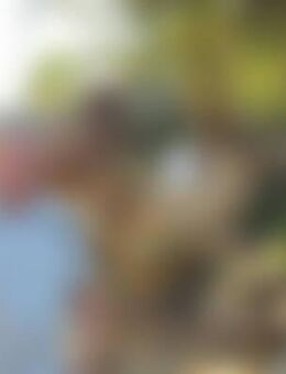 Wil*** - Limbach-Oberfrohna