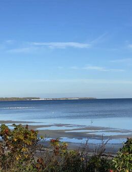 Schön, ruhig und ostseenah gelegene Eigentumswohnung im Grünen - Rüting