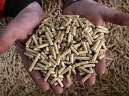 Holzpellets ENplus A1 mit Lieferung per Sattelzug - Stuttgart Zentrum