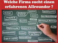 Erfahrener "Allrounder" sucht Firma mit Potential. - Horb (Neckar)