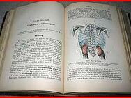 HOMÖOPATHISCHE PRAXIS (von 1901) - Köln