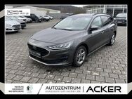 Ford Focus, 1.0, Jahr 2022 - Bad Berleburg