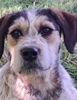 Aisa sucht ihre Familie - Weilheim (Oberbayern)