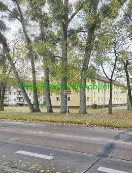 gepflegte Wohnanlage - 2 MFH - kernsaniert - 7,56 % Sollrendite - Dessau-Roßlau