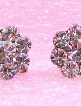 Ohrstecker - silberfarben mit Strass - herrlich funkelnd - Modeschmuck - Biebesheim (Rhein)