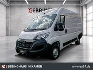 Opel Movano, 8.7 Kasten HKa L2H2 t Diesel 140 3 C Cargo Edition GEWERBEDEAL 290 netto, Jahr 2024 - Kamen
