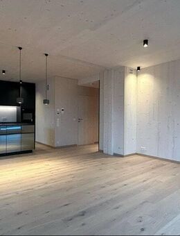 Exklusive Mietwohnungen in Dinkelsbühl: Modern - Nachhaltig - Einzigartig! - Dinkelsbühl