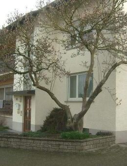 Großzügiges 3 Familienhaus in Dietingen- Böhringen! - Dietingen
