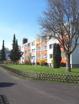 Familienwohnung/Souterrain in Garbsen zur Miete - Wentzel Dr. - Garbsen