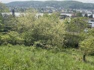 Verlockendes Angebot: Traumgrundstück mit Panoramablick auf den Rhein - Erpel