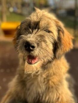 Freundliche, liebe Jessy - Kallmünz