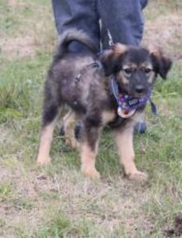 Liv wartet schon auf Deine Anfrage! - München