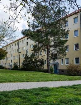 Gemütliches Wohnquartier mit viel Grün - Aschersleben