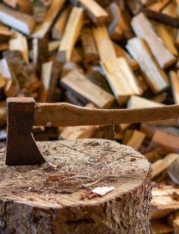 Kaminholz Brennholz ofenfertig ab 65€ pro SRM - Sulingen