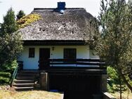 "Inseltraum zwischen Dünen und Meer" - Insel Hiddensee