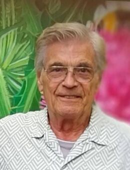 Witwer/Senior sucht Freizeitpartnerin.im Raum Frankfurt am Main - Frankfurt (Main) Rödelheim