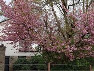 Preissenkung !Naturnahes Einfamilienhaus mit separater Einliegerwohnung - Velbert