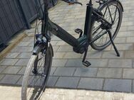 Damen E-Bike - Wassenberg