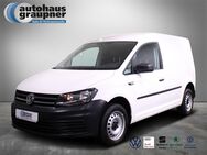 VW Caddy, 1.0 TSI Kasten, Jahr 2019 - Brandis