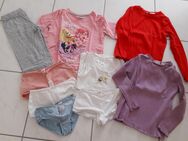 Kleiderpaket Kinder Kleidung Mädchen Größe 110/116 Marken Leo Lausemaus, H&M - Lindau (Bodensee)