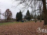 Natur pur - 5.700 m² großes Grundstück mit Bungalow in ruhiger Schildower Ortsrandlage - Mühlenbecker Land