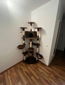Kratzbaum 200cm Braun - Braunschweig