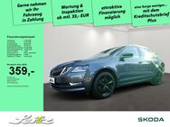 Skoda Octavia, 2.0 TDI Combi Style Einpark, Jahr 2017 - Lindenberg (Allgäu)