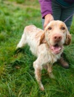 Brick - menschenbezogen und sanft - Würzburg