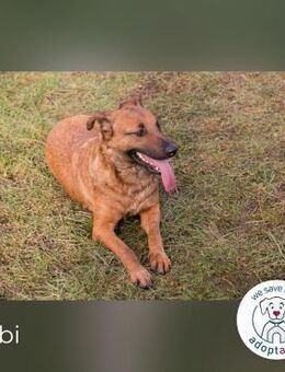 Gabi: Hat ihren Lebensmut wiedergefunden - Kirchzell