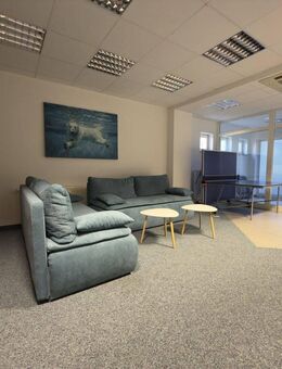 Extravagantes Wohnen im Erdgeschoss - Reinsdorf (Sachsen)