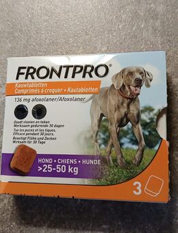 Frontpro - Herne