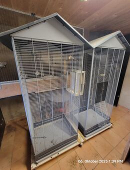 Käfig Vogelkäfig Wellensittiche Kanarien Exoten - Soltendieck